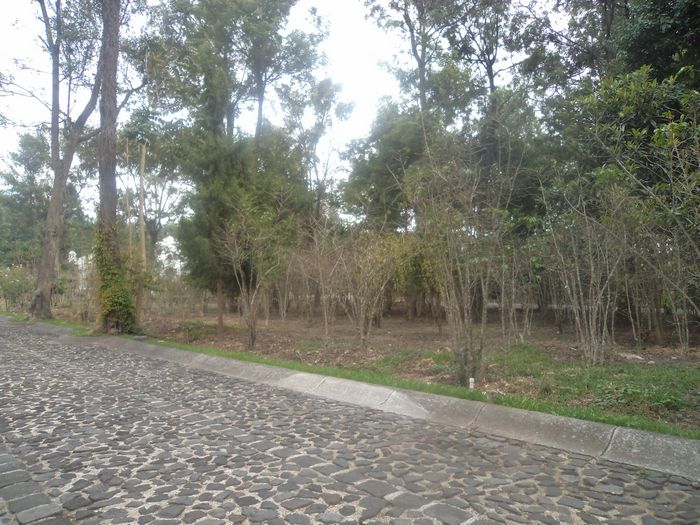 Vendo terreno en Antigua Gardens 