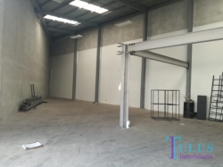 Ofibodega en renta en zona 12