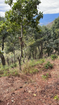 Propiedad en rntame Hawwai Monterrico ideal para Airbnb