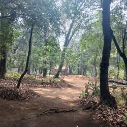 Terreno Comercial en Renta en Carretera Interamericana