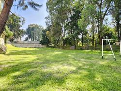 Bodega con Terreno en Renta San Lucas, Interamericana