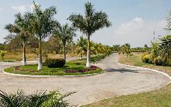 Lagunas de Monterrico, Terreno en Venta