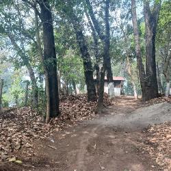 Terreno Comercial en Renta en Carretera Interamericana