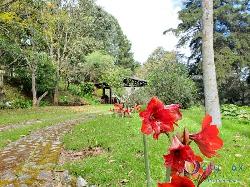 Granja en Venta en Jardín el Alto por San Lucas