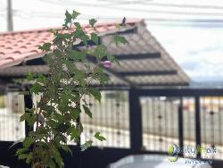 Casa en Venta en Bosques del Mirador Zona 6 Mixco 