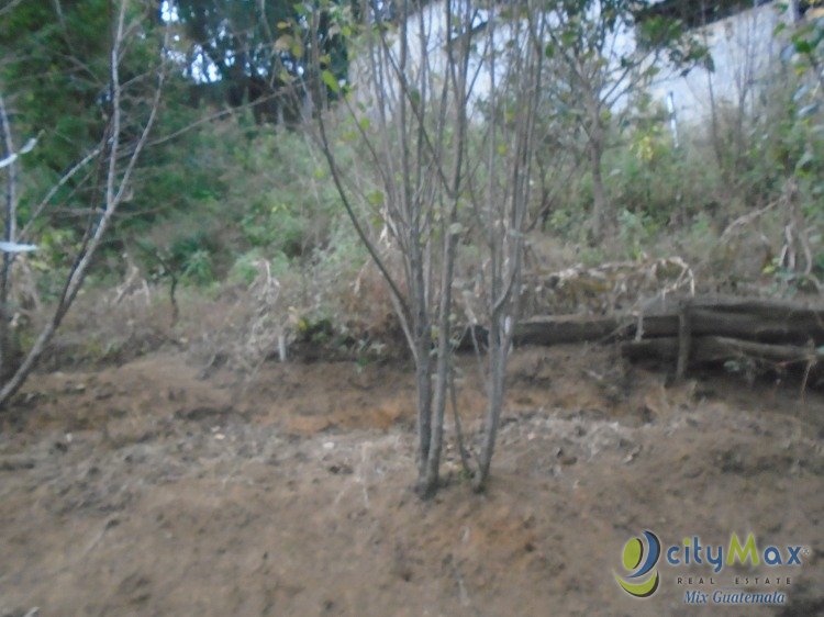 Granja en Venta Cercano a la Carretera Interamericana.