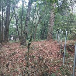 Terreno Comercial en Renta en Carretera Interamericana