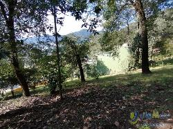 Granja en Venta Santo Tomas Milpas Altas, Sacatepequez