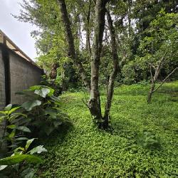 Terreno Comercial en Renta San Bartolomé Milpas Altas  