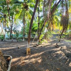 Cesión de Terreno Vacacional en OCRET Puerto San José