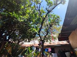 Casa en el Casco Urbano de Antigua Guatemala