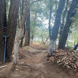 Terreno Comercial en Renta en Carretera Interamericana