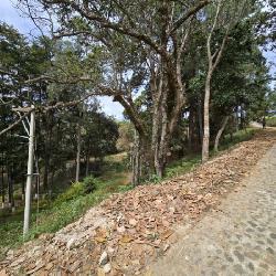 Terreno en Venta Los Horizontes Santo Domingo Xenacoj