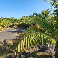 Cesión de Terreno Vacacional en OCRET Puerto San José