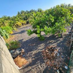 Cesión de Terreno Vacacional en OCRET Puerto San José