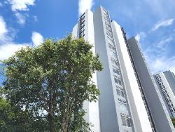 Apartamento en Renta, ingreso a San Cristóbal Roosevelt