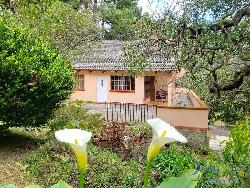 Granja en Venta en Jardín el Alto por San Lucas