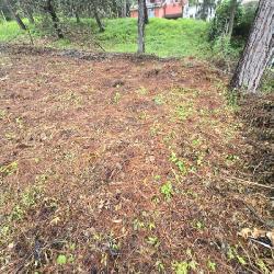 Terreno en Venta Hacienda Manzanales Santa María Cauque