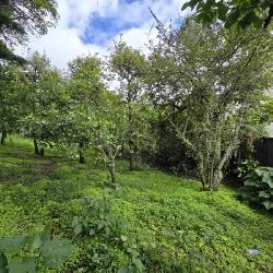 Terreno Comercial en Renta San Bartolomé Milpas Altas  