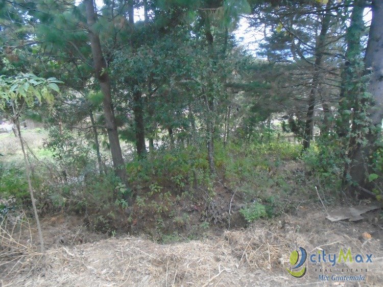 Granja en Venta Cercano a la Carretera Interamericana.