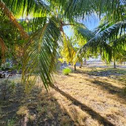 Cesión de Terreno Vacacional en OCRET Puerto San José