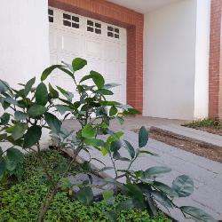 Casa en Renta en Hacienda de las Flores, Villa Nueva