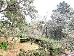 Granja en Venta en Jardín el Alto por San Lucas