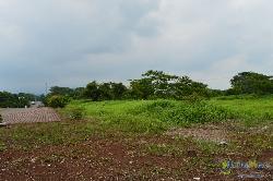Terreno en Venta en Carretera a Taxisco Escuintla