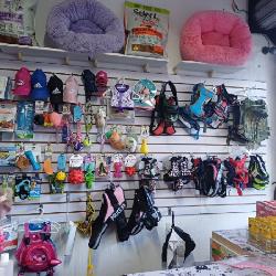 Derecho de Llave en Venta San Cristóbal Tienda Mascotas