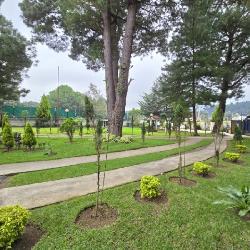 Granja Comercial en Renta San Lucas Sacatepéquez