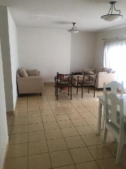 Apartamento en Renta  con Linea Blanca en Zona 10 