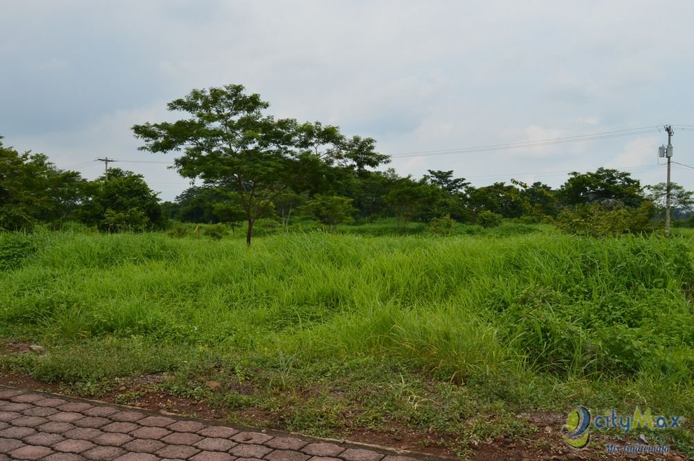 Terreno en Venta en Carretera a Taxisco Escuintla