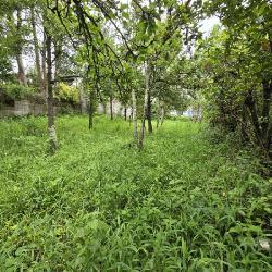 Terreno Comercial en Renta San Bartolomé Milpas Altas  