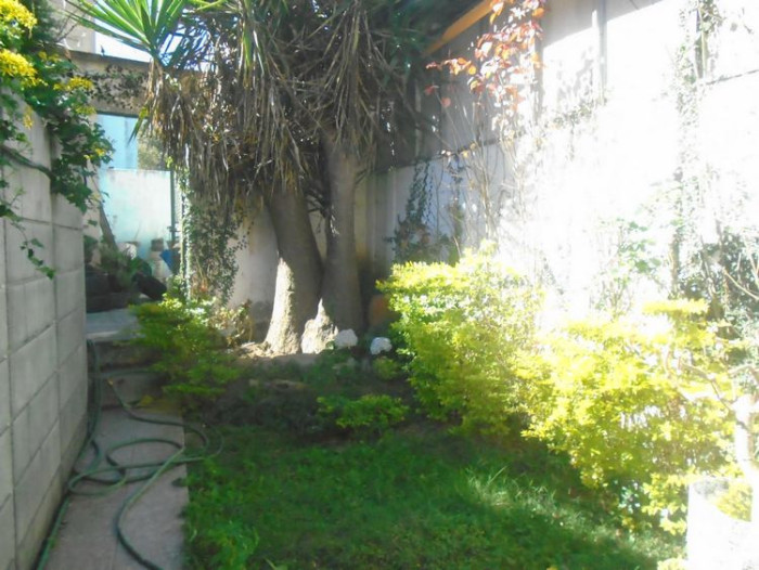 Casa en Renta, calle transitada Carretera a El Salvador