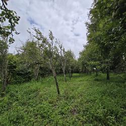 Terreno Comercial en Renta San Bartolomé Milpas Altas  