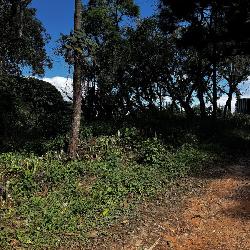 Terreno en Venta en Santa Rosalía