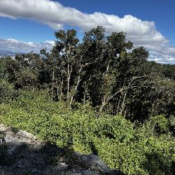 Terreno en Venta en Santa Rosalía