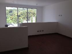 Alquilo Apartamento  en Zona 16  Tipo Loft 