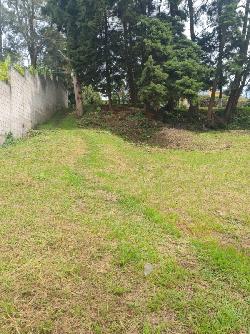 Terreno en Venta Carretera Salvador km 16.5