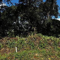 Terreno en Venta en Santa Rosalía