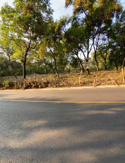 Terreno en Renta en Santa Catarina Pinula 