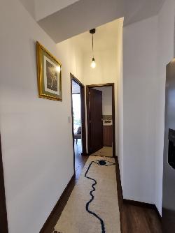 Apartamento en renta zona 10 para estrenar!