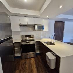 Apartamento en renta en zona 11 Colonia en Mariscal