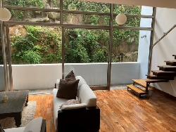 Apartamento Amueblado Tipo Loft en Renta en Zona 15 VH1