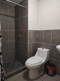 Apartamento en renta zona 12 