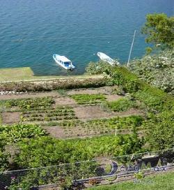 CASA PARA VACACIONAR PARA 12 PERSONAS EN SAN ANTONIO PALOPO ATITLAN