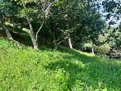 TERRENO EN VENTA EN SAN LUCAS