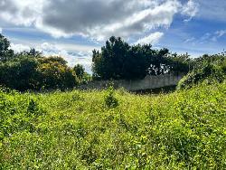 TERRENO EN VENTA EN SAN LUCAS