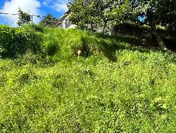 TERRENO EN VENTA EN SAN LUCAS