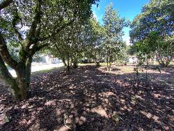 Terreno En Venta En Residencial Santa Teresa, Sac